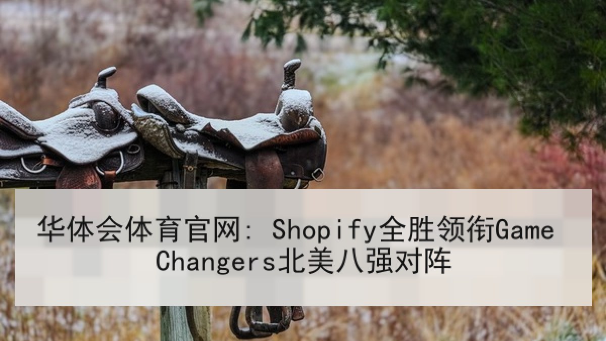 华体会体育官网: Shopify全胜领衔Game Changers北美八强对阵
