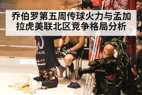 乔伯罗第五周传球火力与孟加拉虎美联北区竞争格局分析